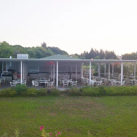 Fun&sun Smart Hane Sun 5* シダ