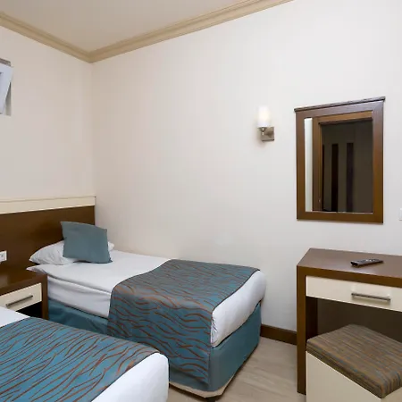 Fun&sun Smart Hane Sun シダ